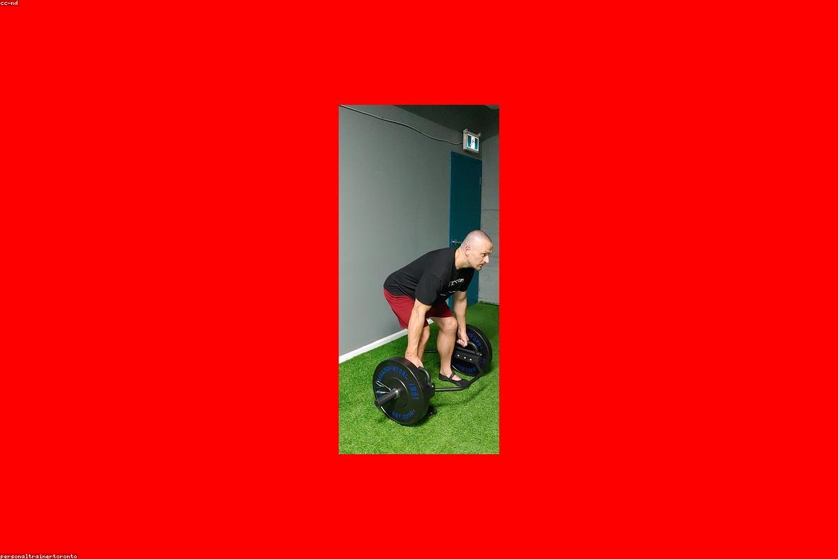 FitLife Spor Salonu